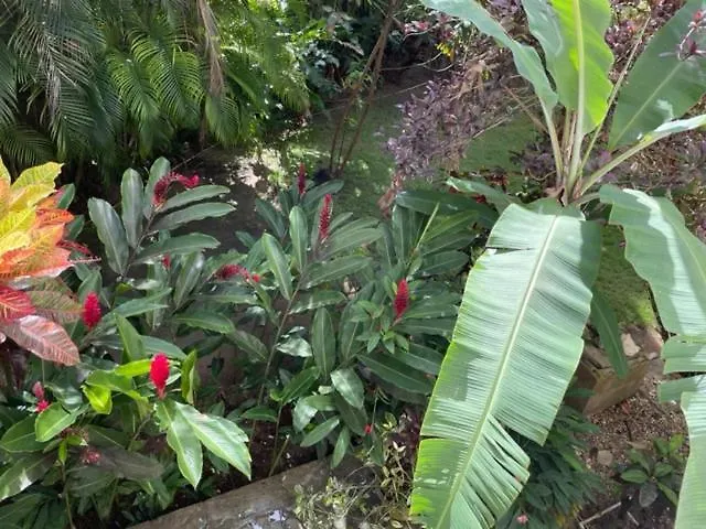 Aparthotel Albatros Cabarete