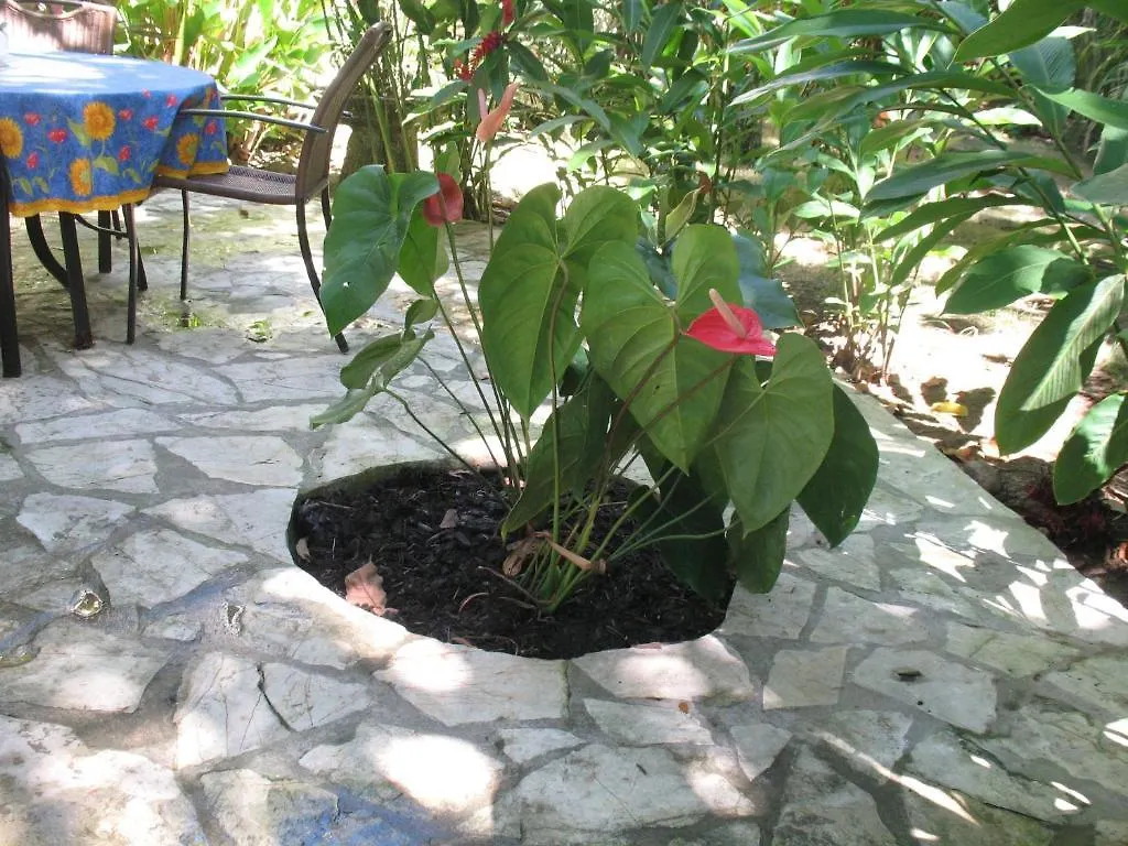 Aparthotel Albatros Cabarete